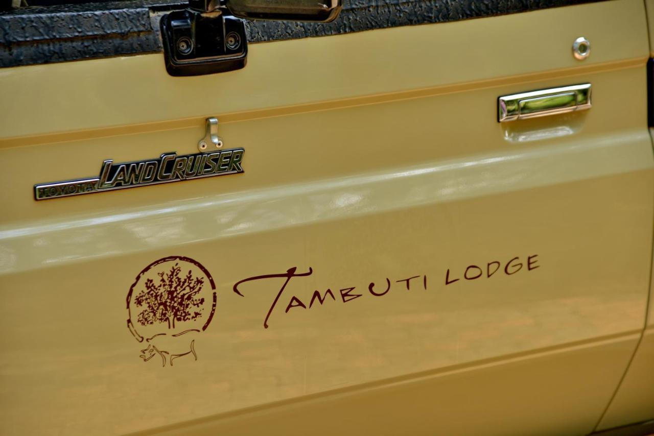 Tambuti Lodge Пиланесберг Экстерьер фото